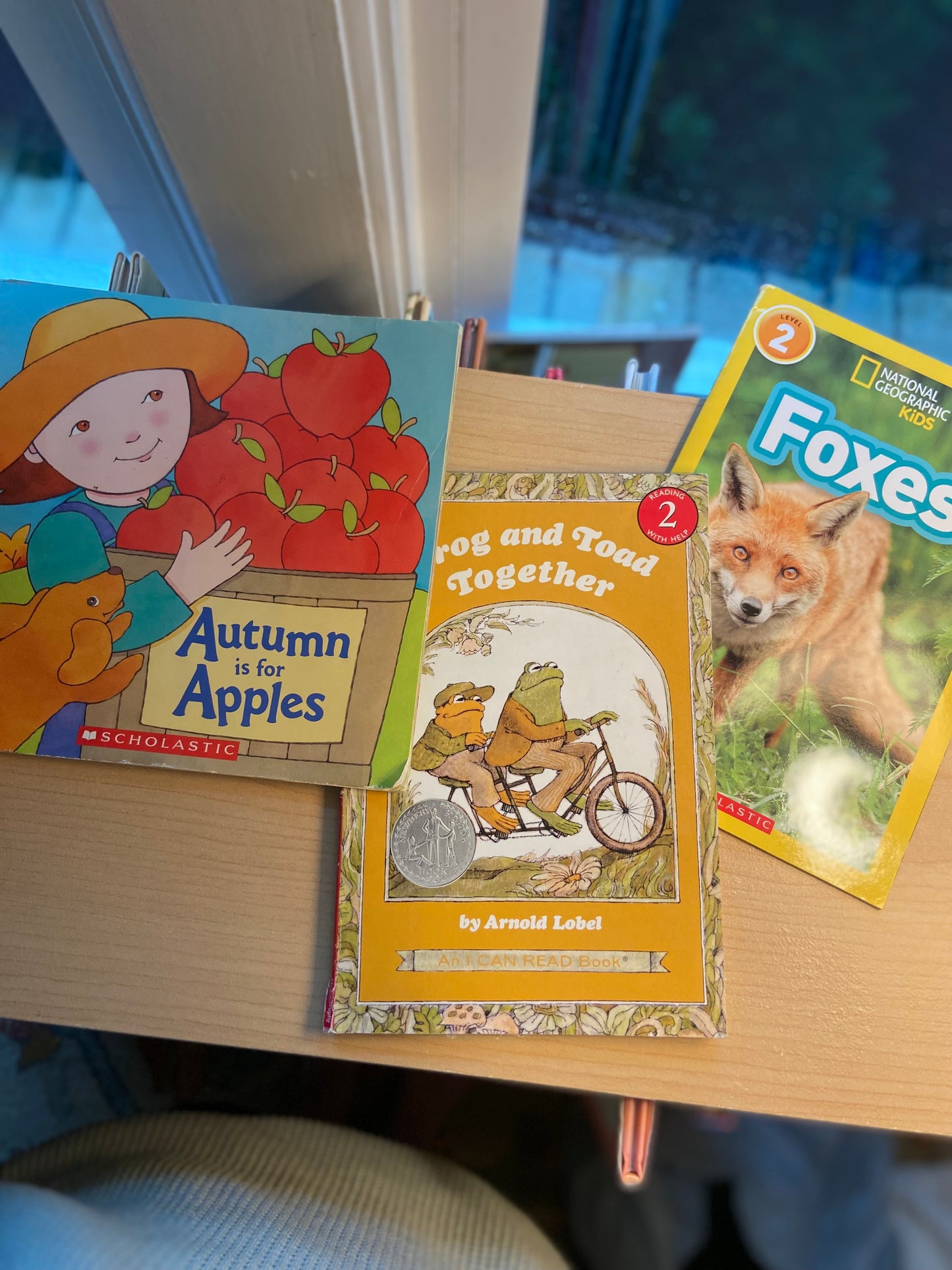 Because of an Acorn + Let it Fall + Foxes
