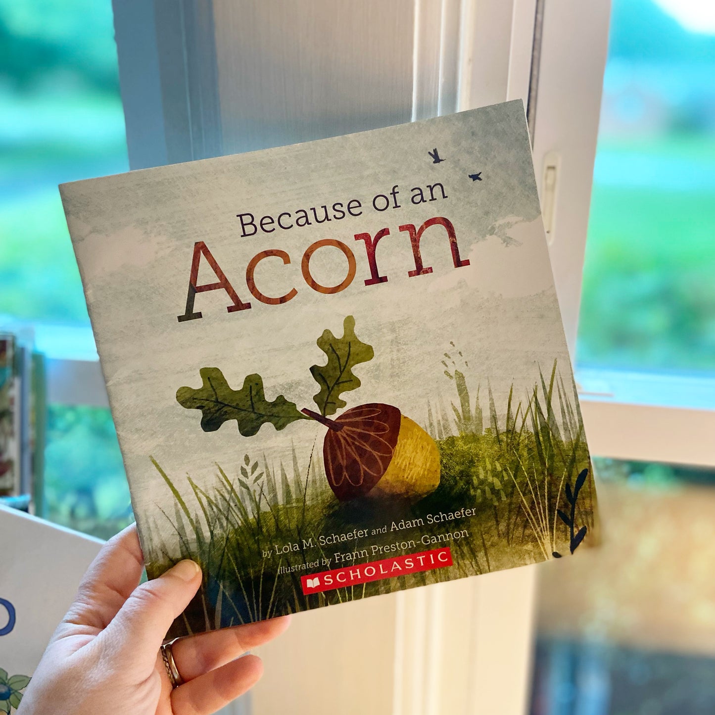 Because of an Acorn + Let it Fall + Foxes